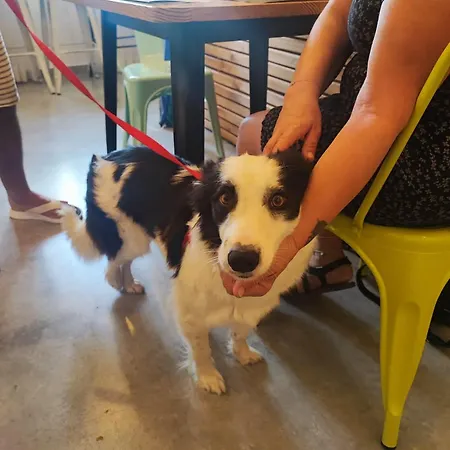 Bed and Breakfast Al Faro Bianco E Con Parcheggio Vasto