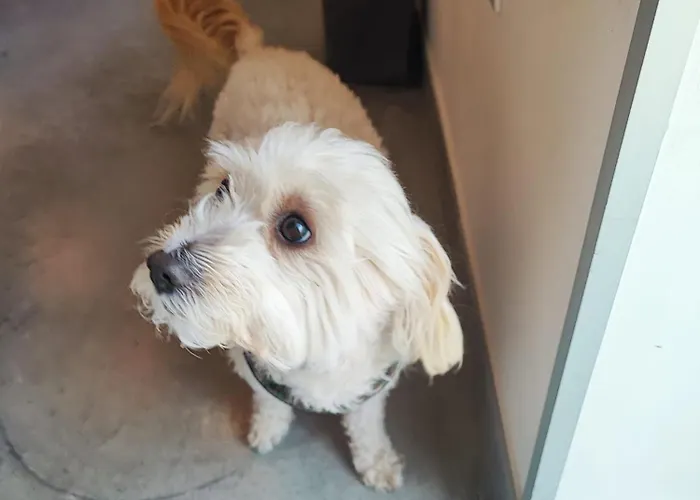 Al Faro Bianco E Con Parcheggio 4*