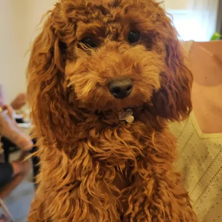 Al Faro Bianco E Con Parcheggio 4* Vasto