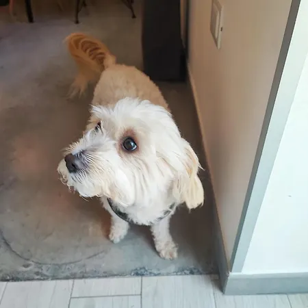 Al Faro Bianco E Con Parcheggio 4*