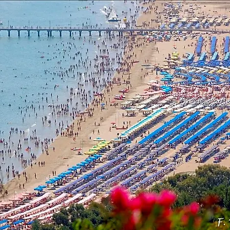 Bed & Breakfast Al Faro Bianco E Con Parcheggio