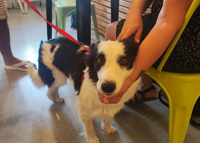 Bed & Breakfast Al Faro Bianco E Con Parcheggio Vasto